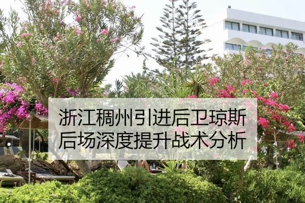 浙江稠州引进后卫琼斯 后场深度提升战术分析
